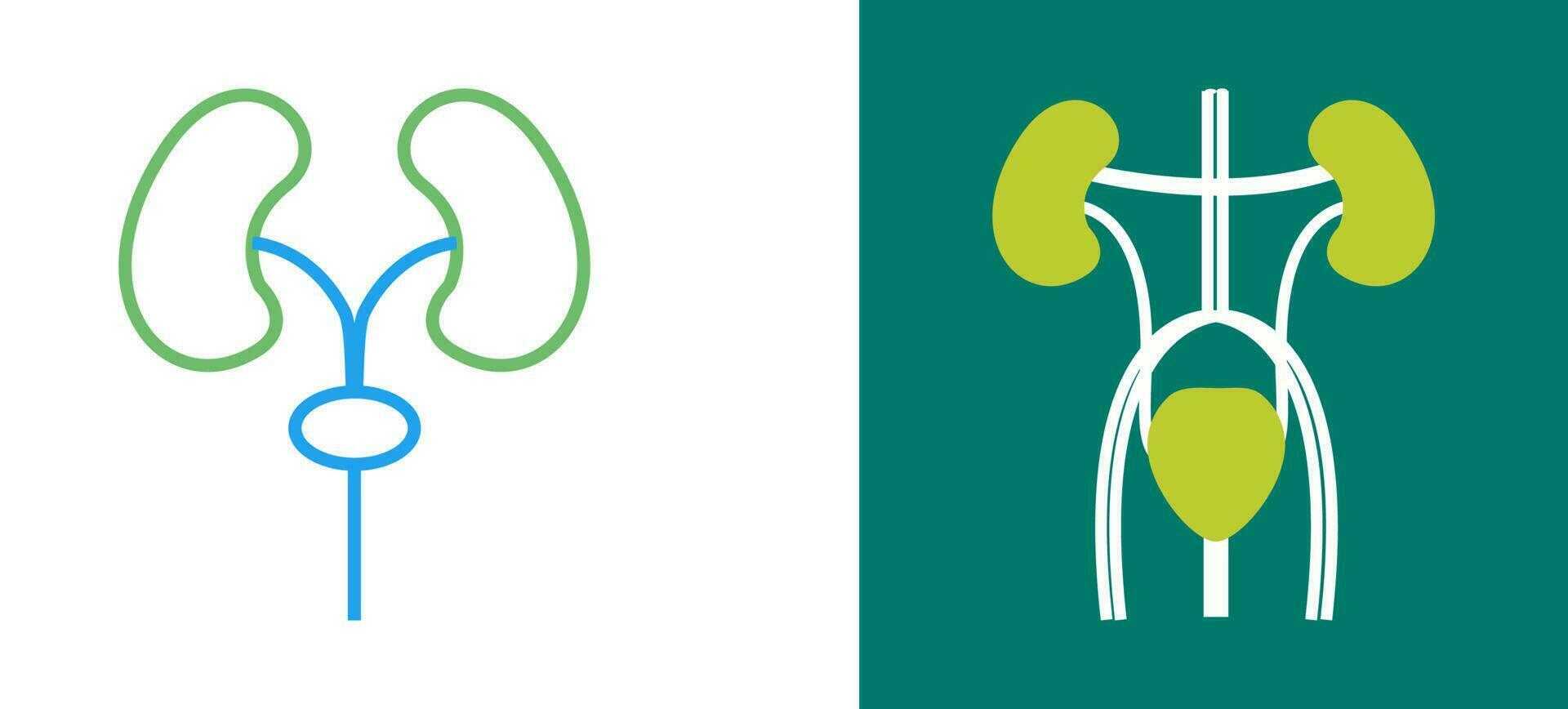 Excretory Vector Icon