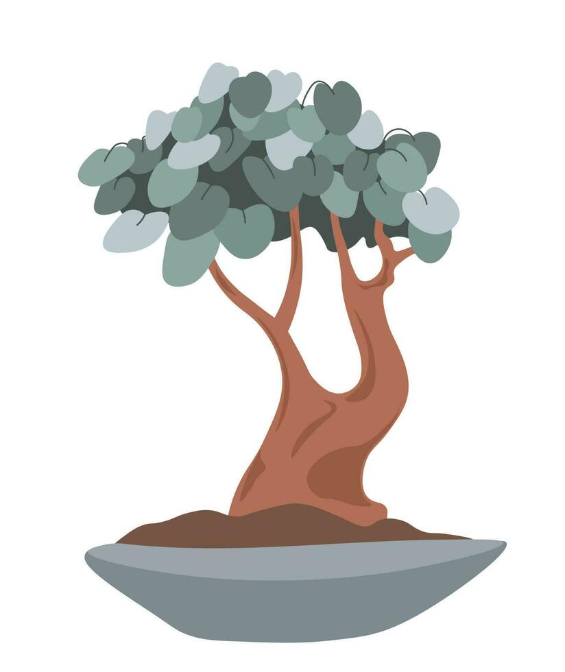 Flower in pot, bonsai tree with stem and foliage vector