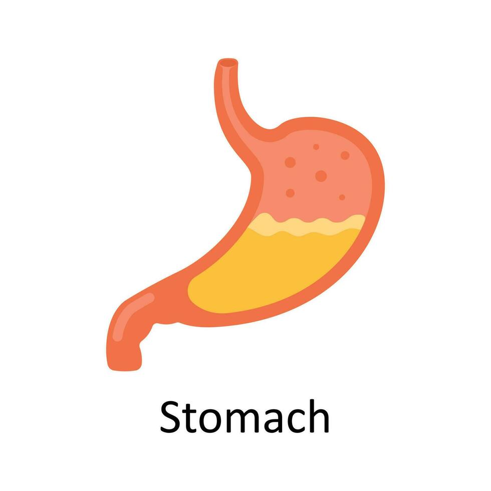 estómago vector plano icono diseño ilustración. médico y cuidado de la salud símbolo en blanco antecedentes eps 10 archivo