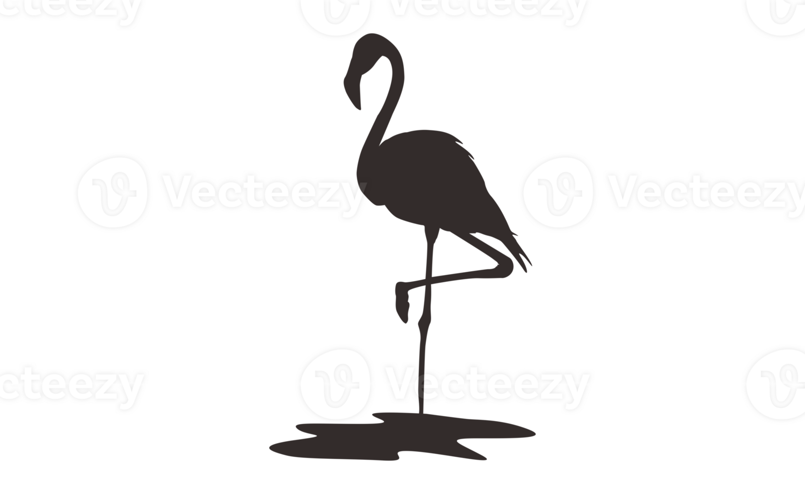 Flamingo Bird Silhouette On Transparent Background png