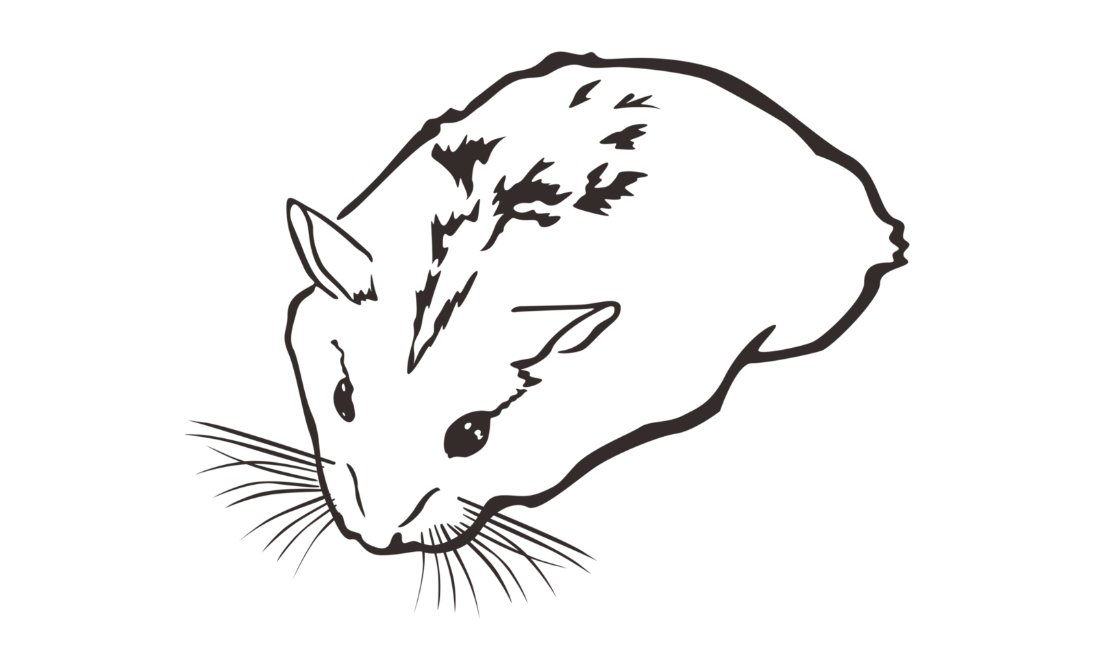 Hamsters Line Art With Transparent Background png