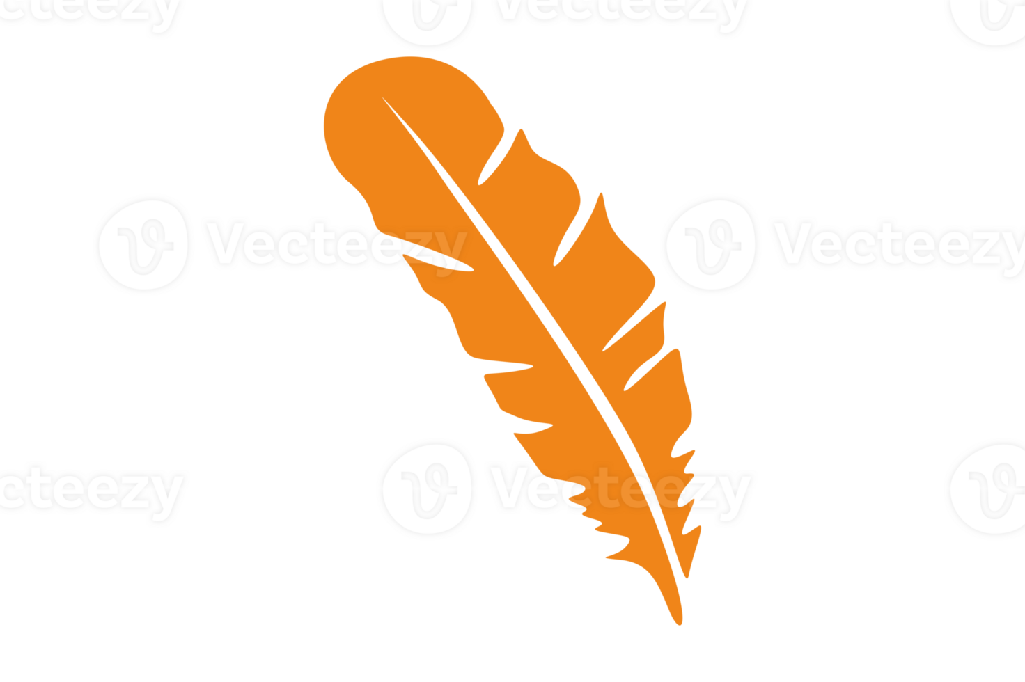 Bird Feathers Ornament With Transparent Background png