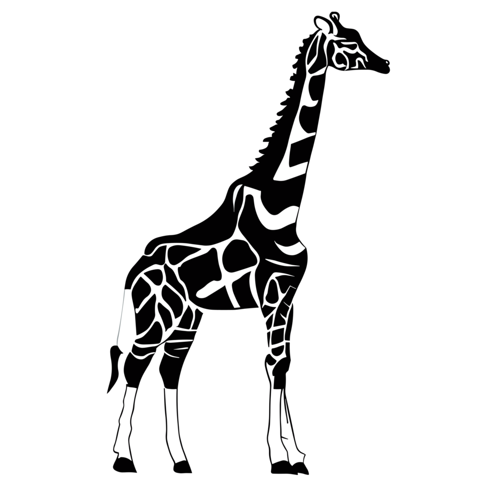 Giraffe black and white icon clipart transparent background 24029719 PNG