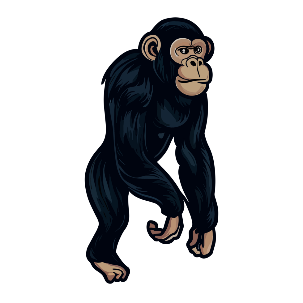 chimpancé icono clipart transparente antecedentes png