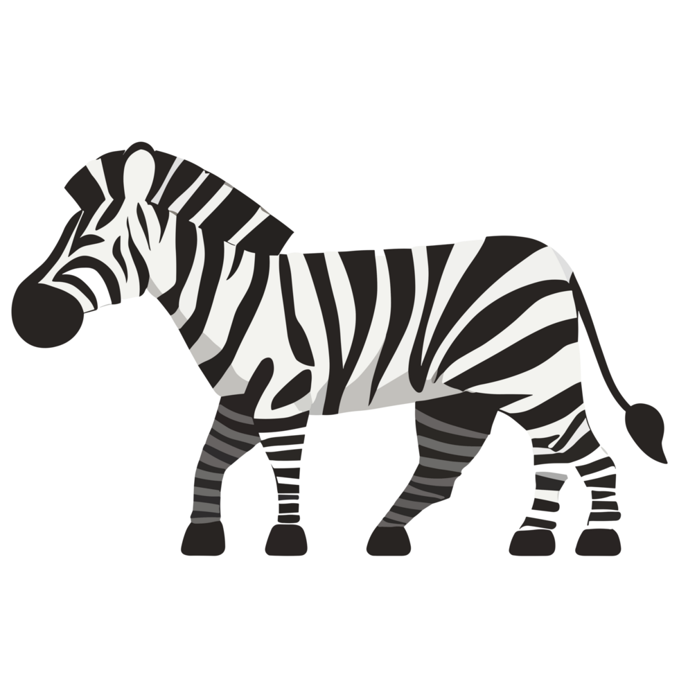 Zebra clipart transparent background png