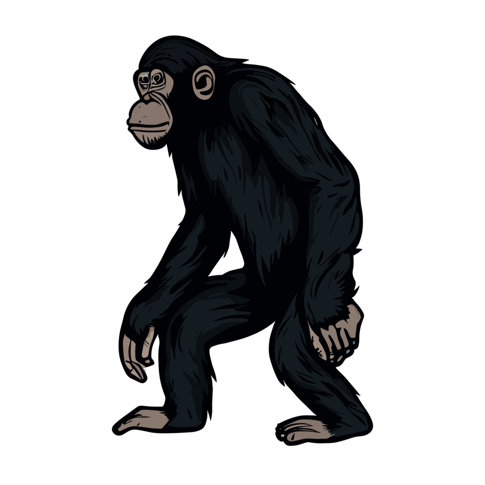Chimpansee Icoon Clip Art Transparant Achtergrond 240 - vrogue.co