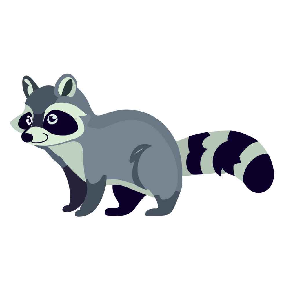 Raccoon icon clipart transparent background png