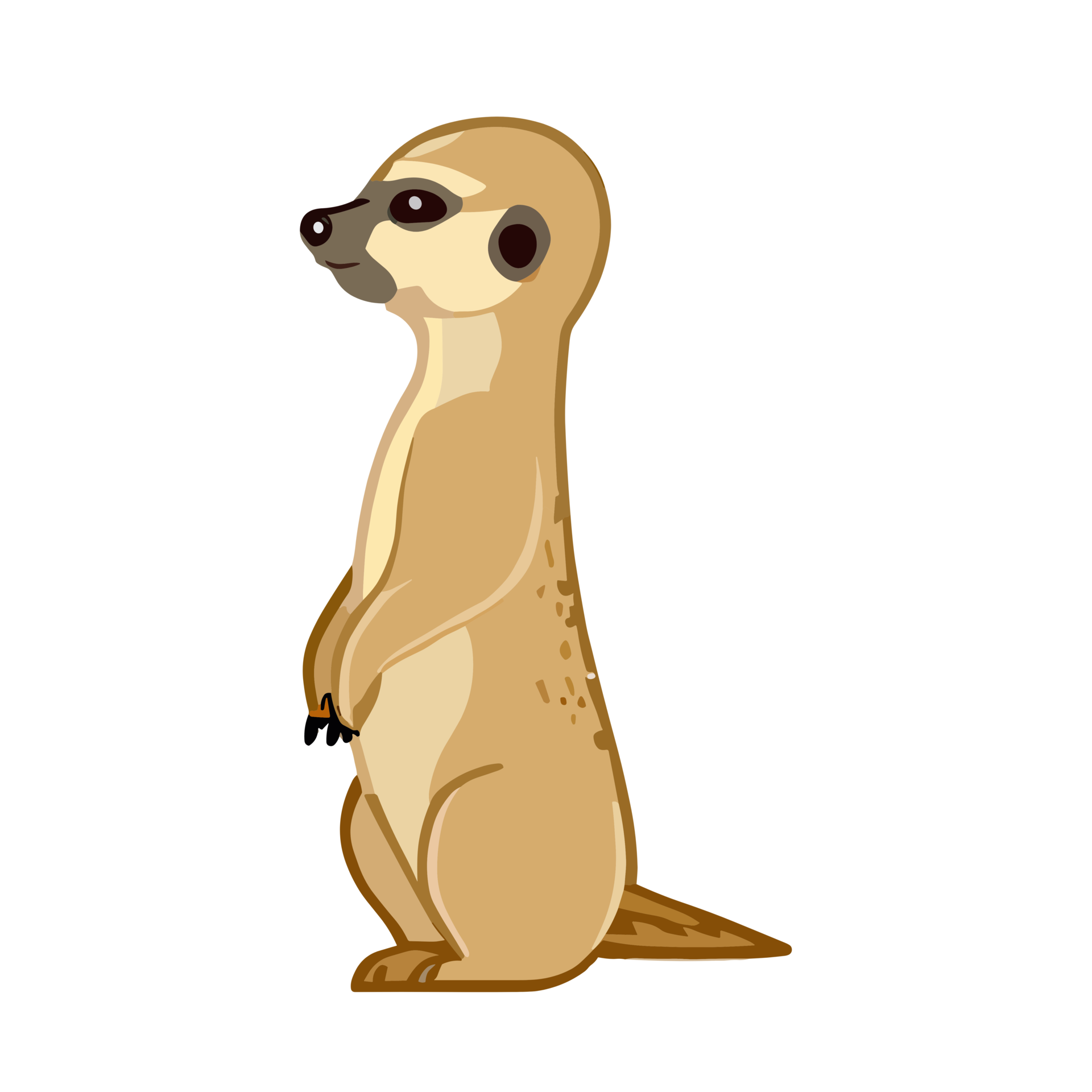 Meerkat clipart transparent background 24029761 PNG