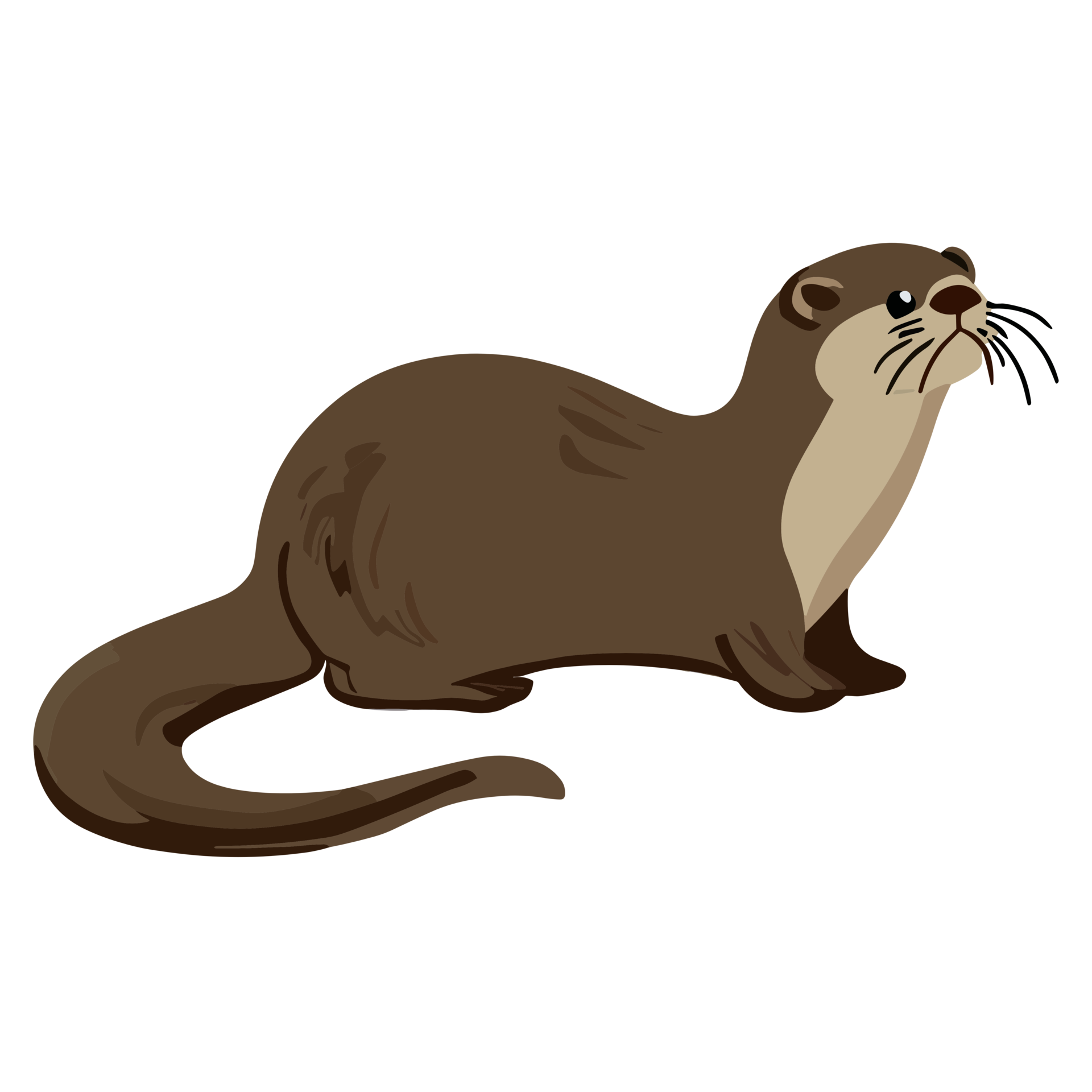 Incredible Photos: Giant River Otter Up Close! - 6ix3er2