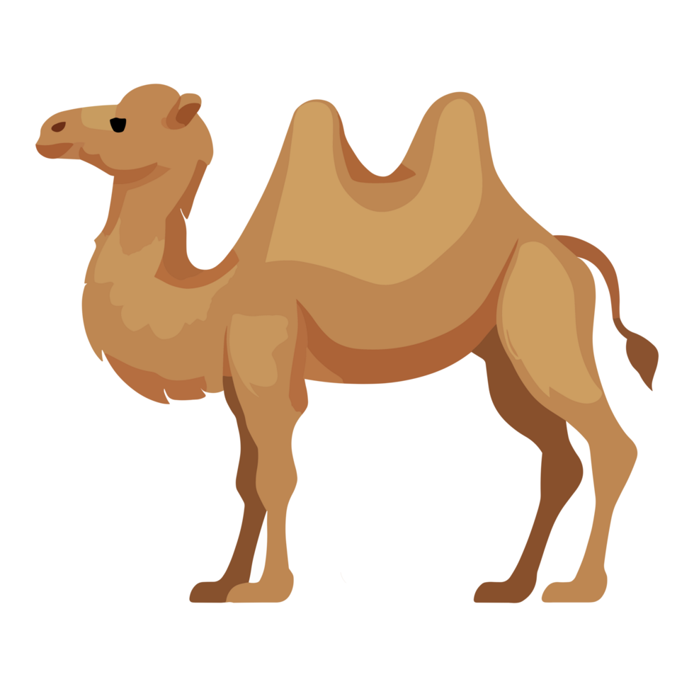 Camel icon clipart transparent background png