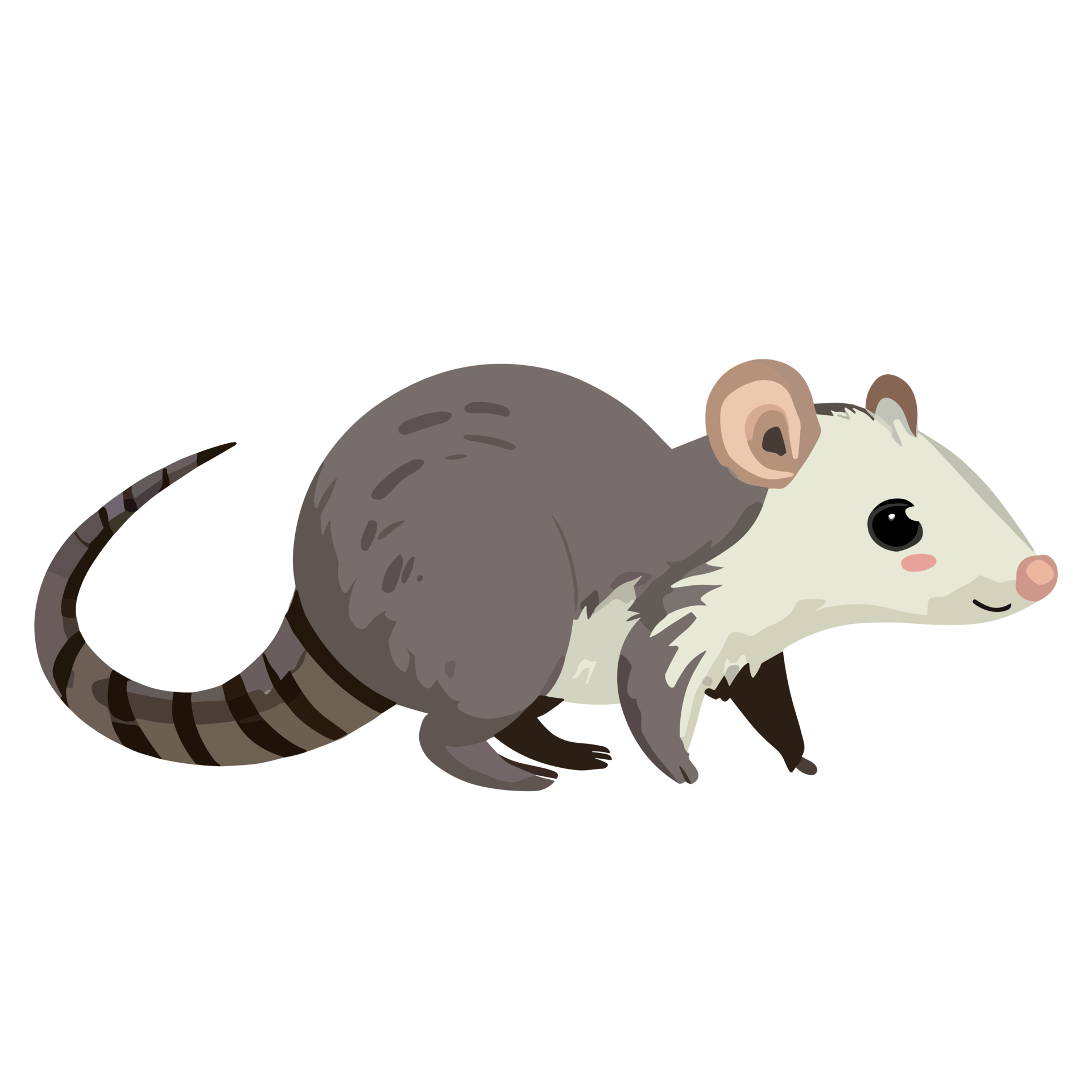 opossum-ic-ne-clipart-transparent-contexte-24029910-png