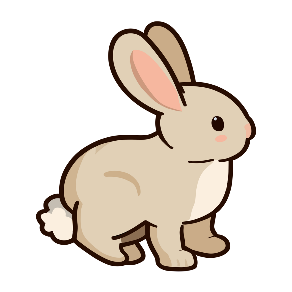 lapin clipart transparent Contexte png