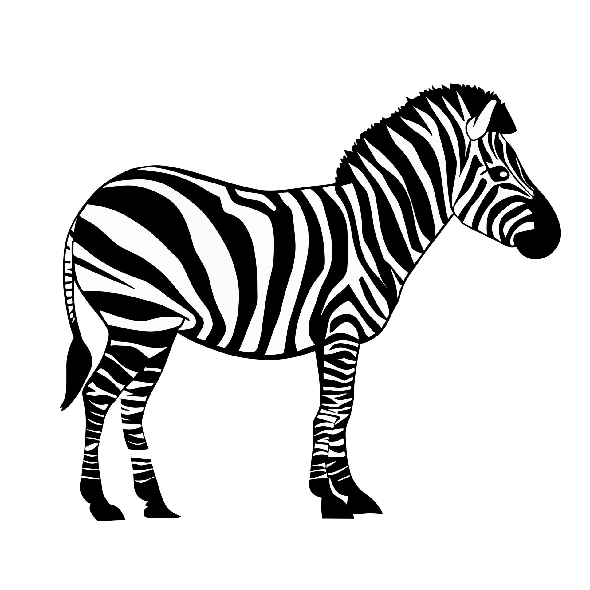 zebra clip art black and white