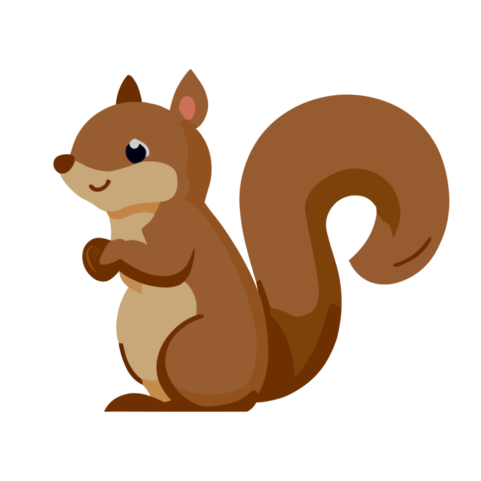 Squirrel icon clipart transparent background png