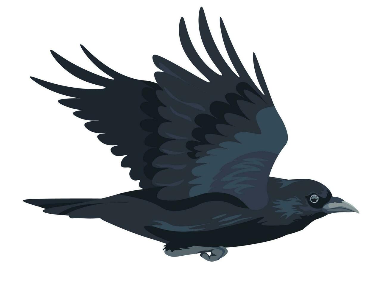 Flying large black bird, crow in motion vector