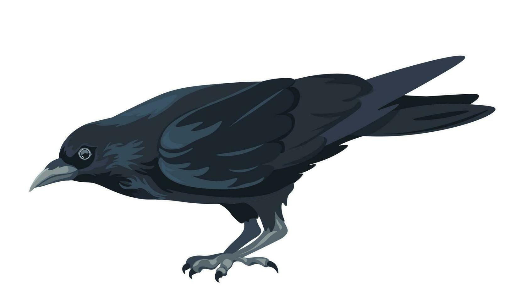 Large black bird, raven or crow animal of forest vector