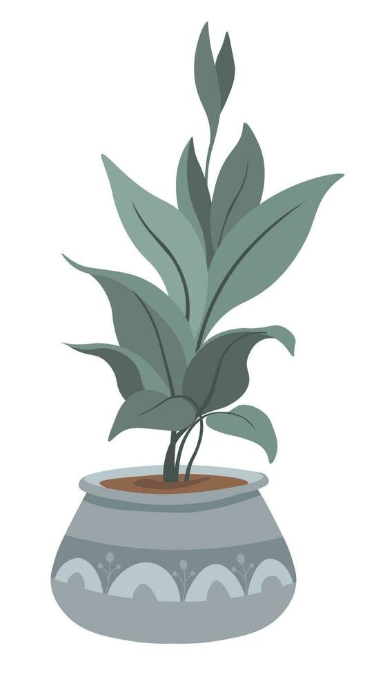 Flower in pot, banana tree exotic botany decor vector