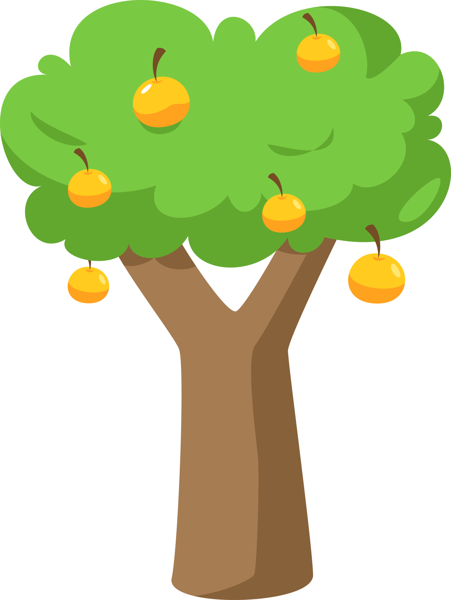 Orange tree transparent 24031422 PNG