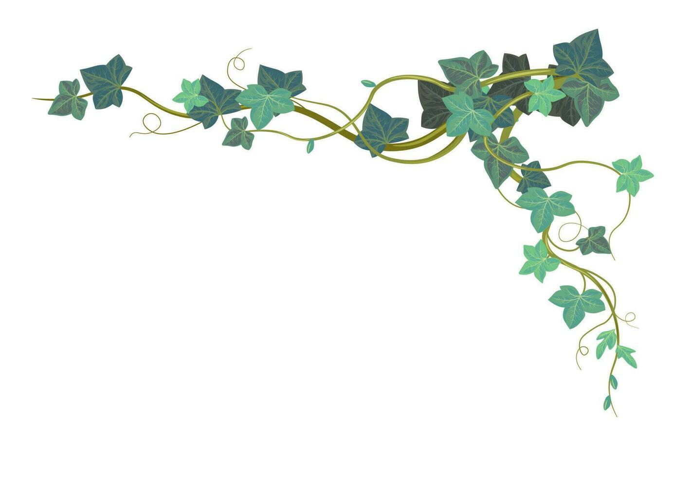 Ivy climbing plant, vegetation and exotic botany vector