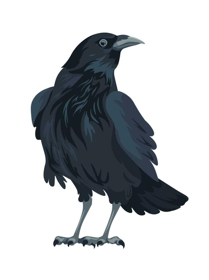 Large black bird, crow sitting, raven or rook vector