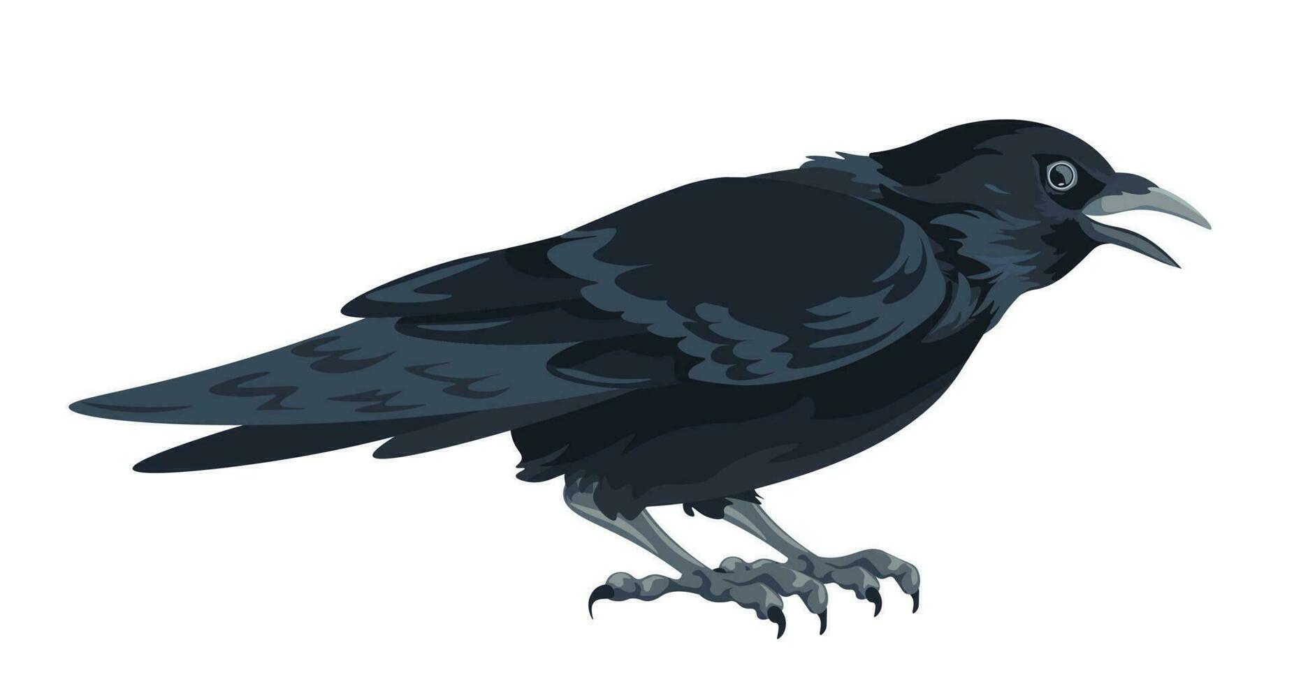 Large black bird, crow cawing or squawking vector