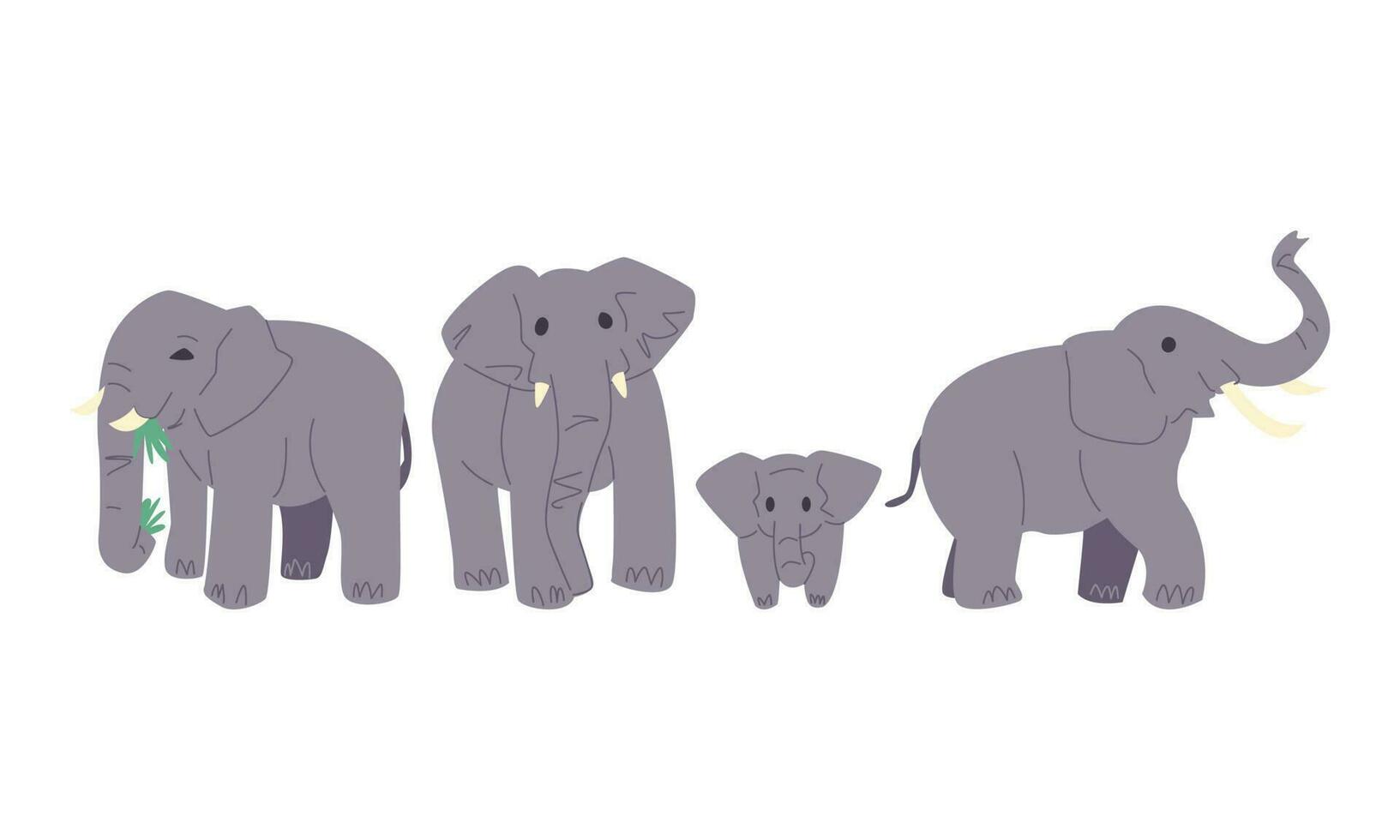 conjunto de linda de elefante en dibujos animados estilo. diferente tamaño, edad, pose. aislado en blanco antecedentes. plano vector ilustración.