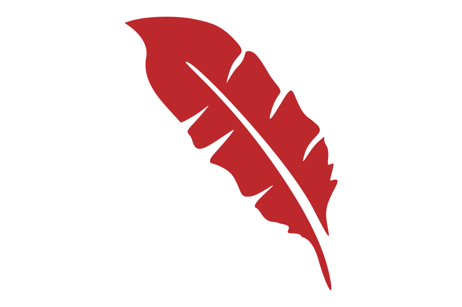 Red Bird Feathers Ornament With Transparent Background png