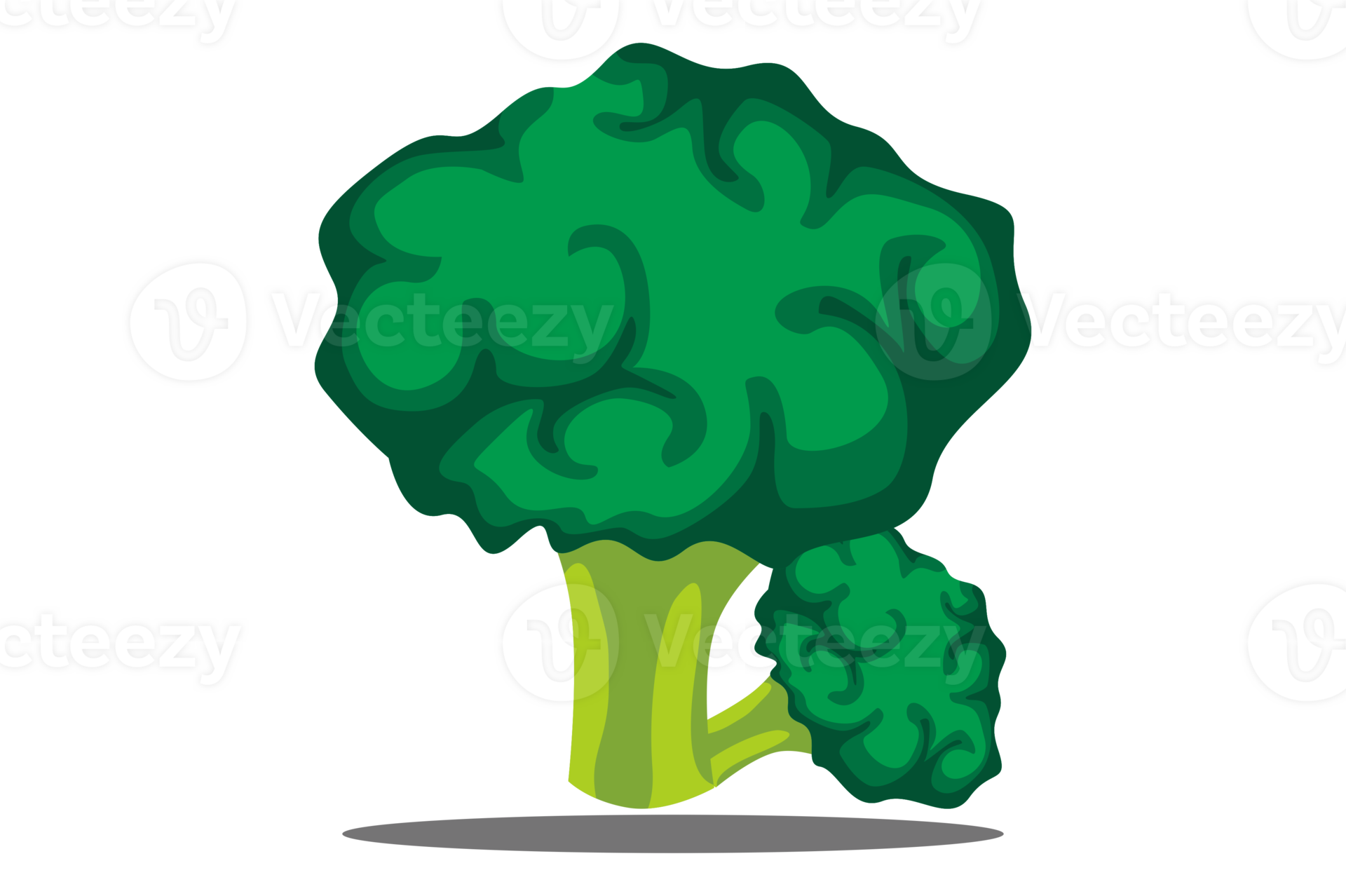 Vegetable Broccoli On Transparent Background 24032802 PNG
