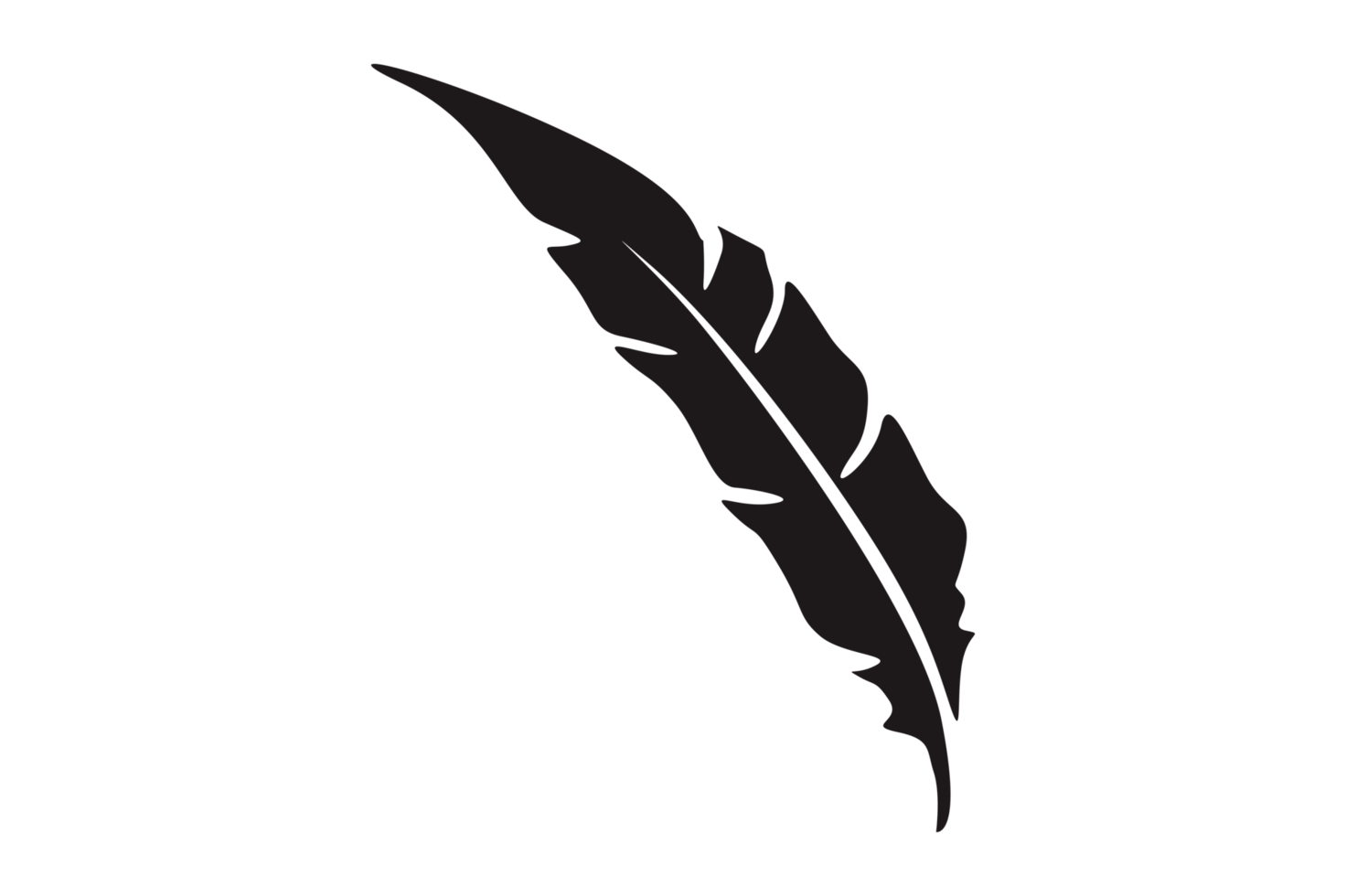 Black Bird Feathers Ornament With Transparent Background png