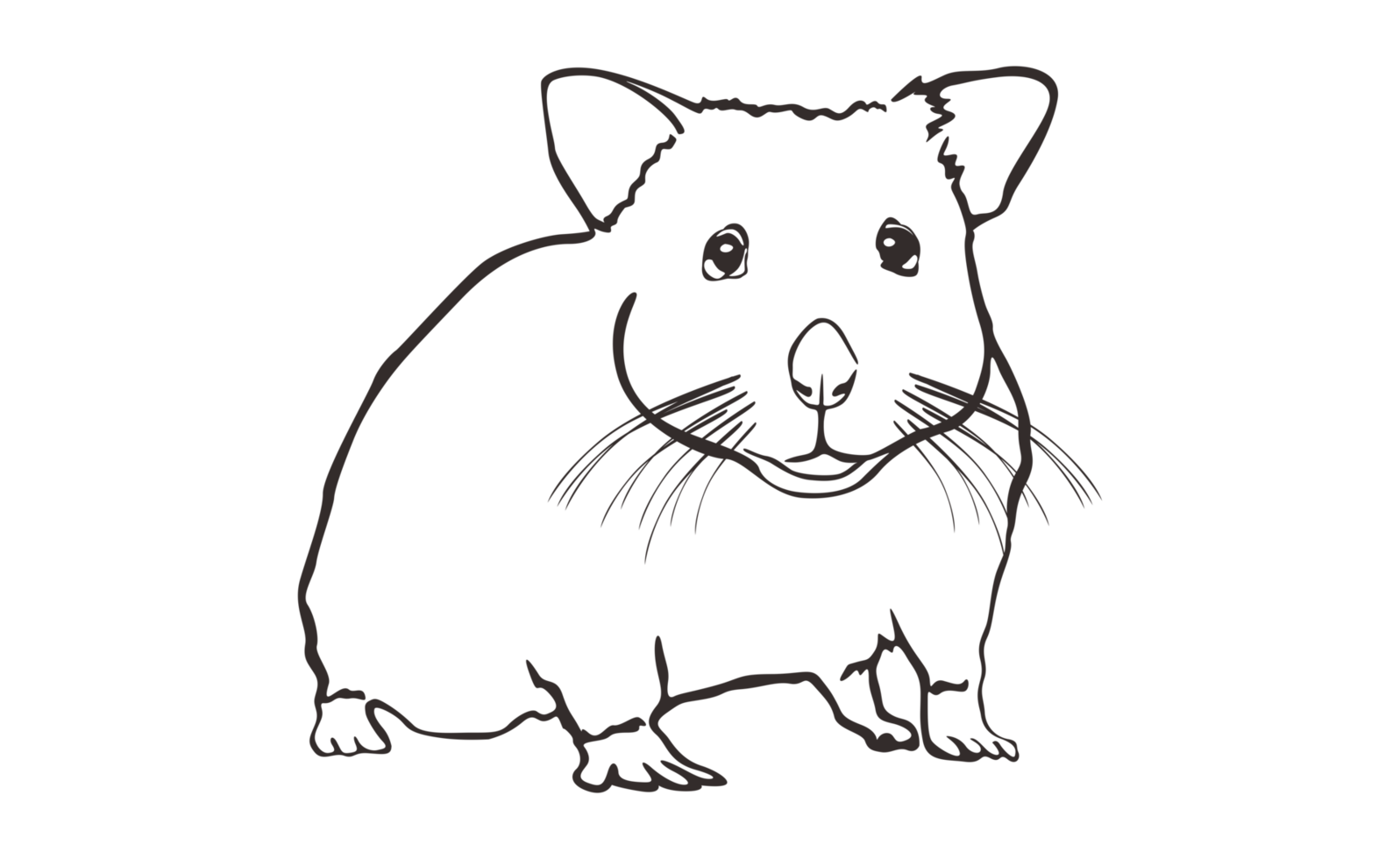 Hamsters Line Art With Transparent Background png