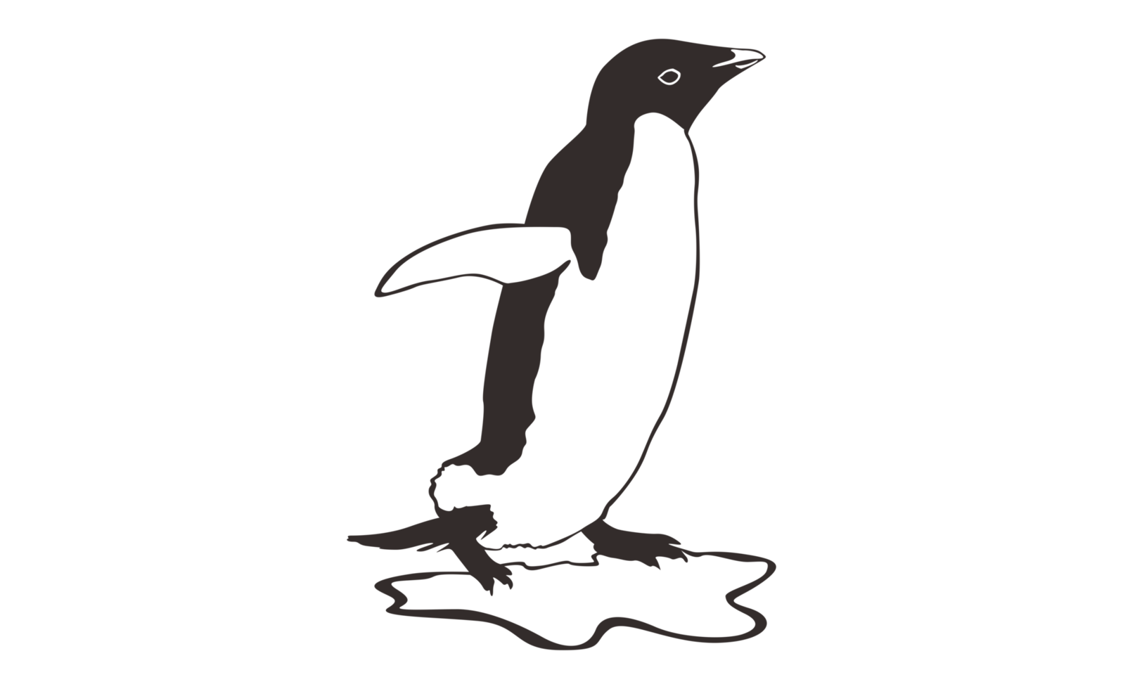 Penguin Line Art on a transparent background png