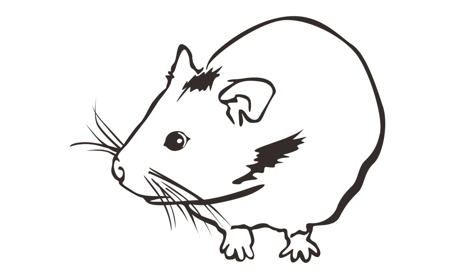 Hamsters Line Art With Transparent Background png