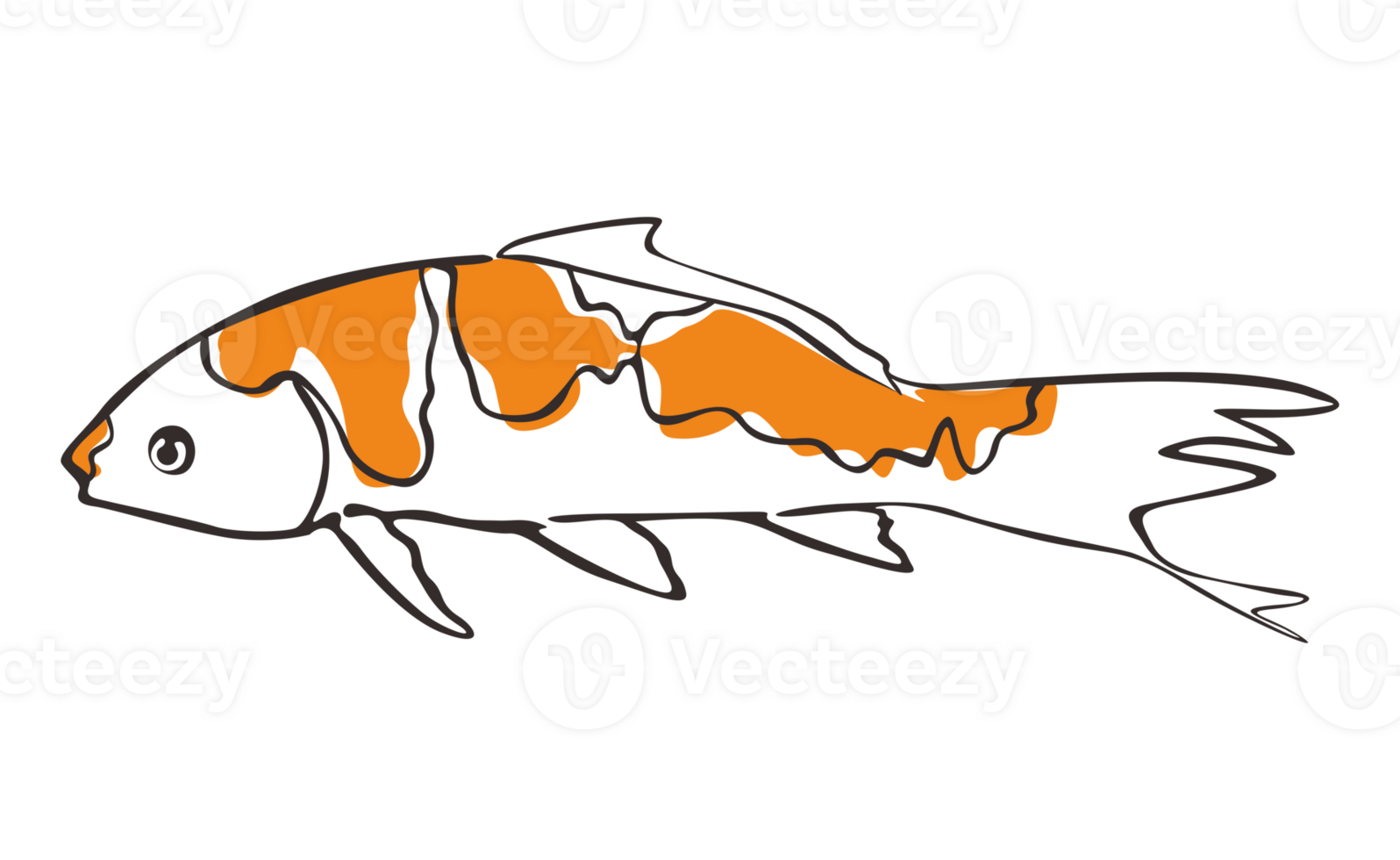 Koi Fish With transparent background png