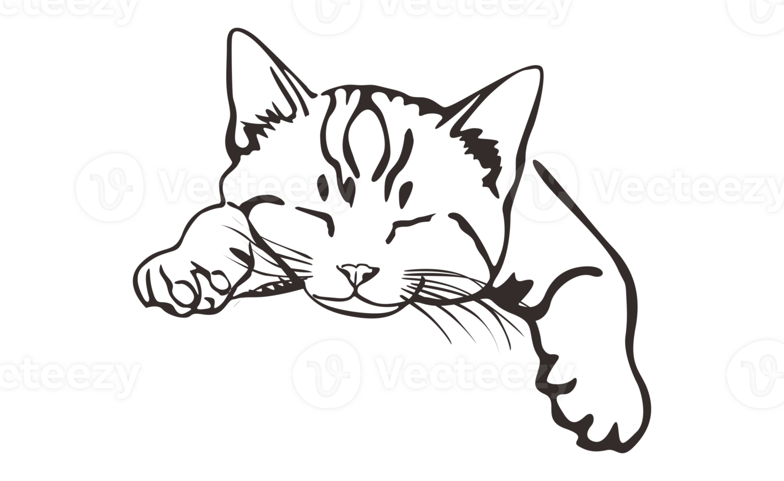 Cat - Kitty Line Art On Transparent Background png