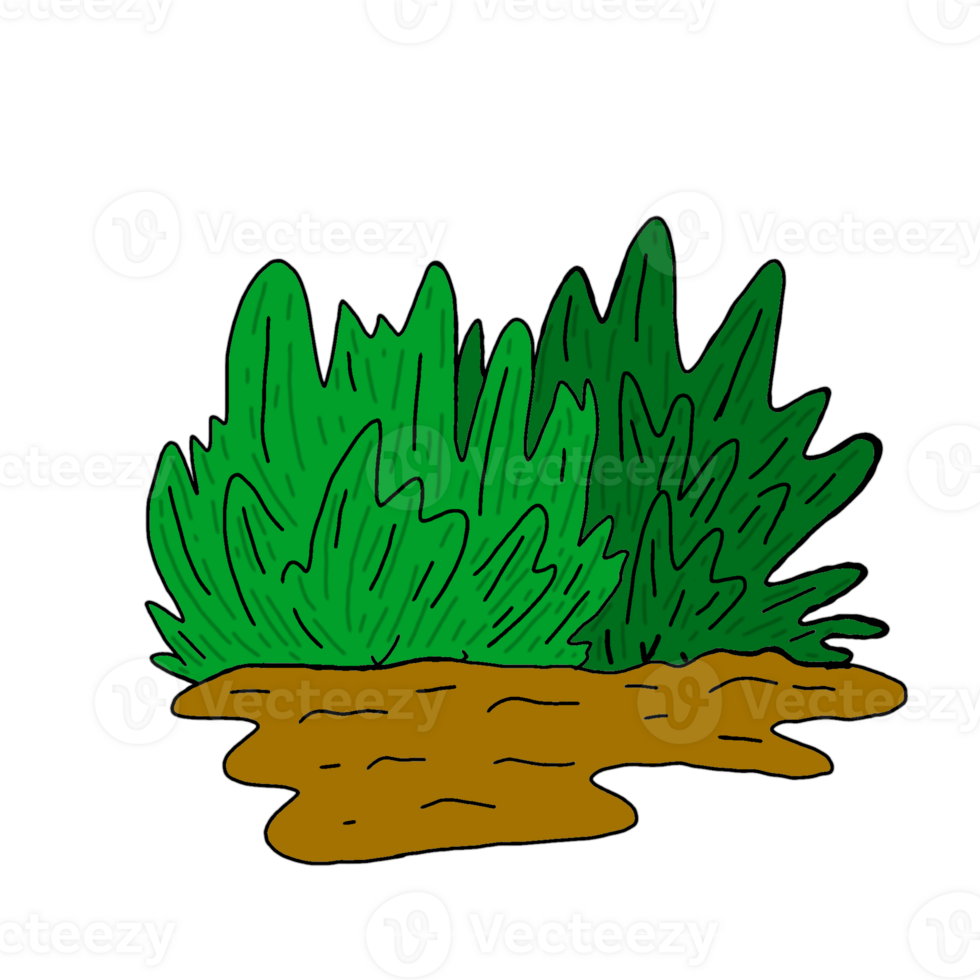Green Grass Above Ground With Transparent Background png