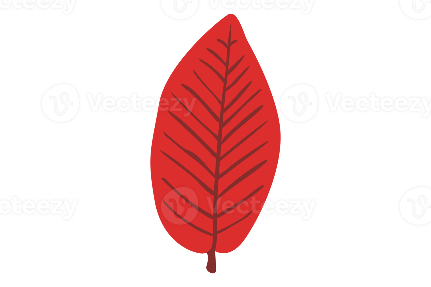 Autumn Leaf With Transparent Background png