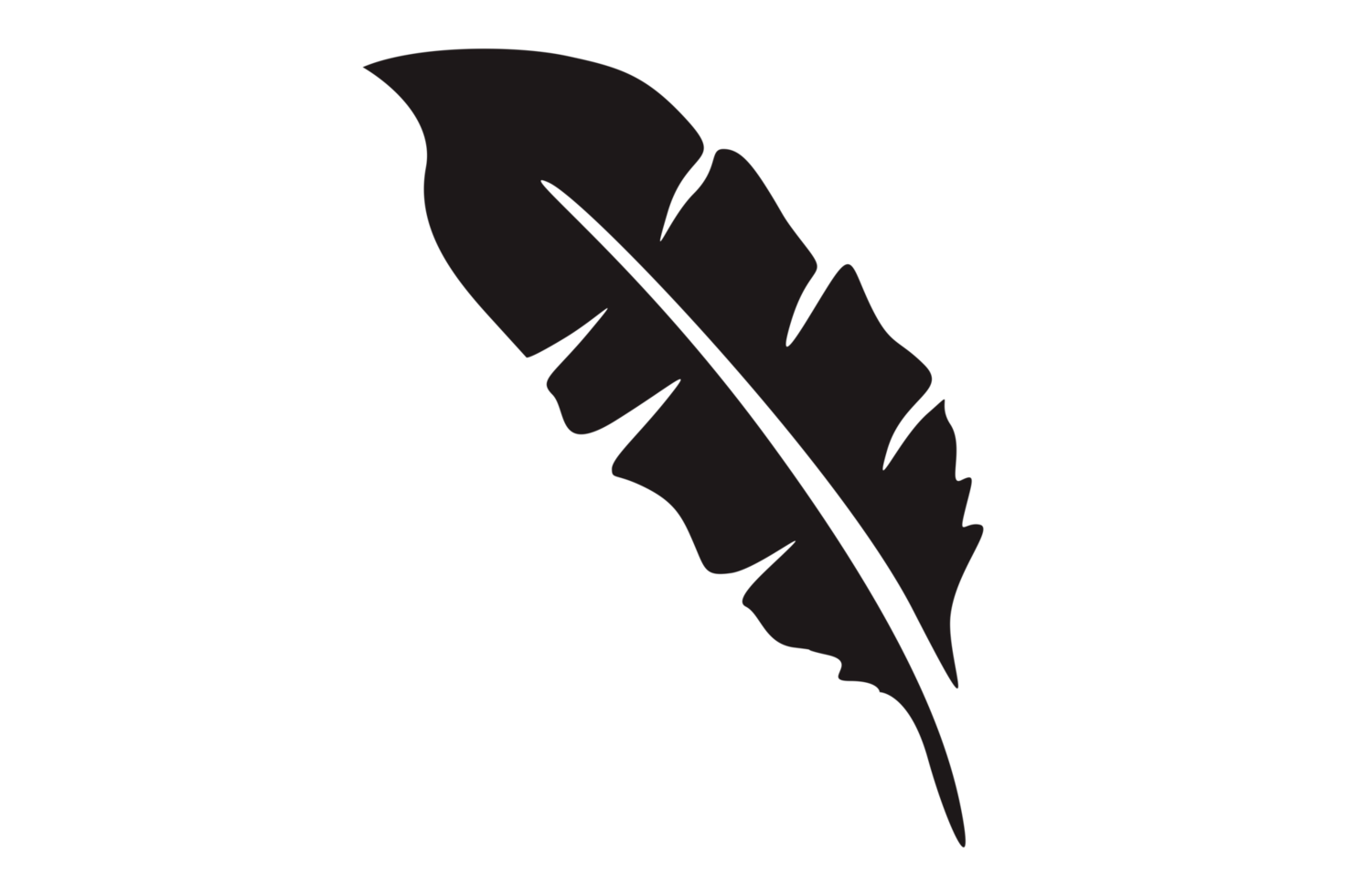 Black Bird Feathers Ornament With Transparent Background png