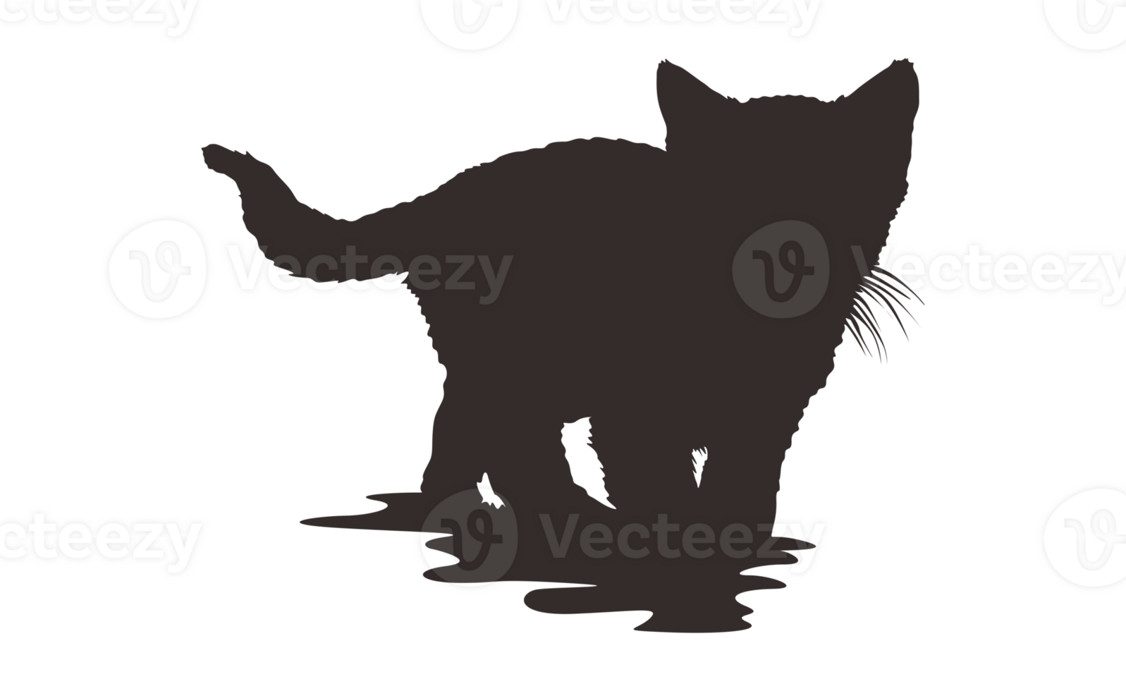 Kitten Silhouette With Transparent Background png