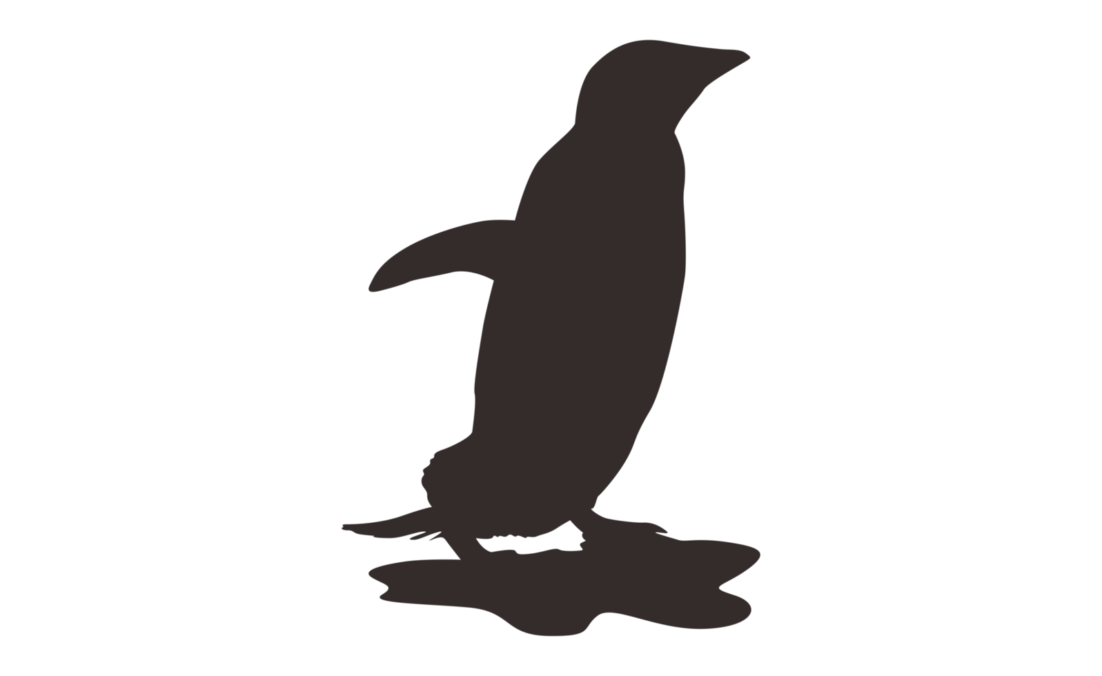 Penguin Silhouette On Transparent Background png