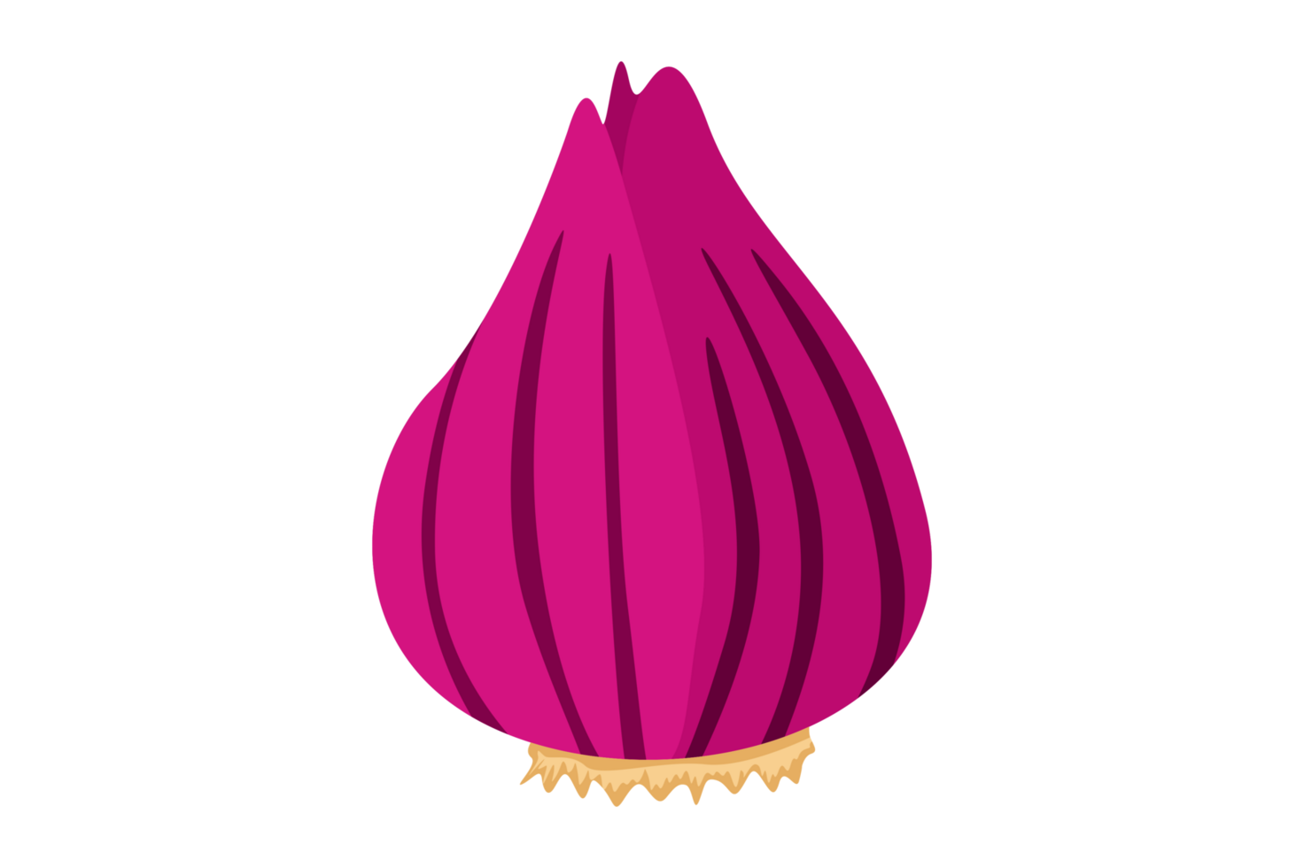 Red Onion Logo Icon On Transparent Background png