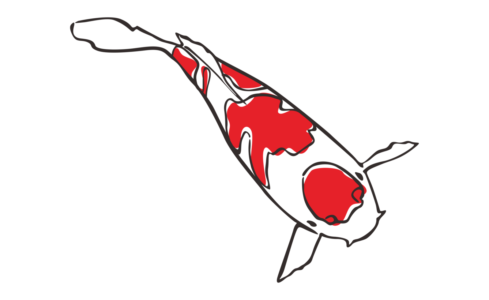 koi fisk med transparent bakgrund png