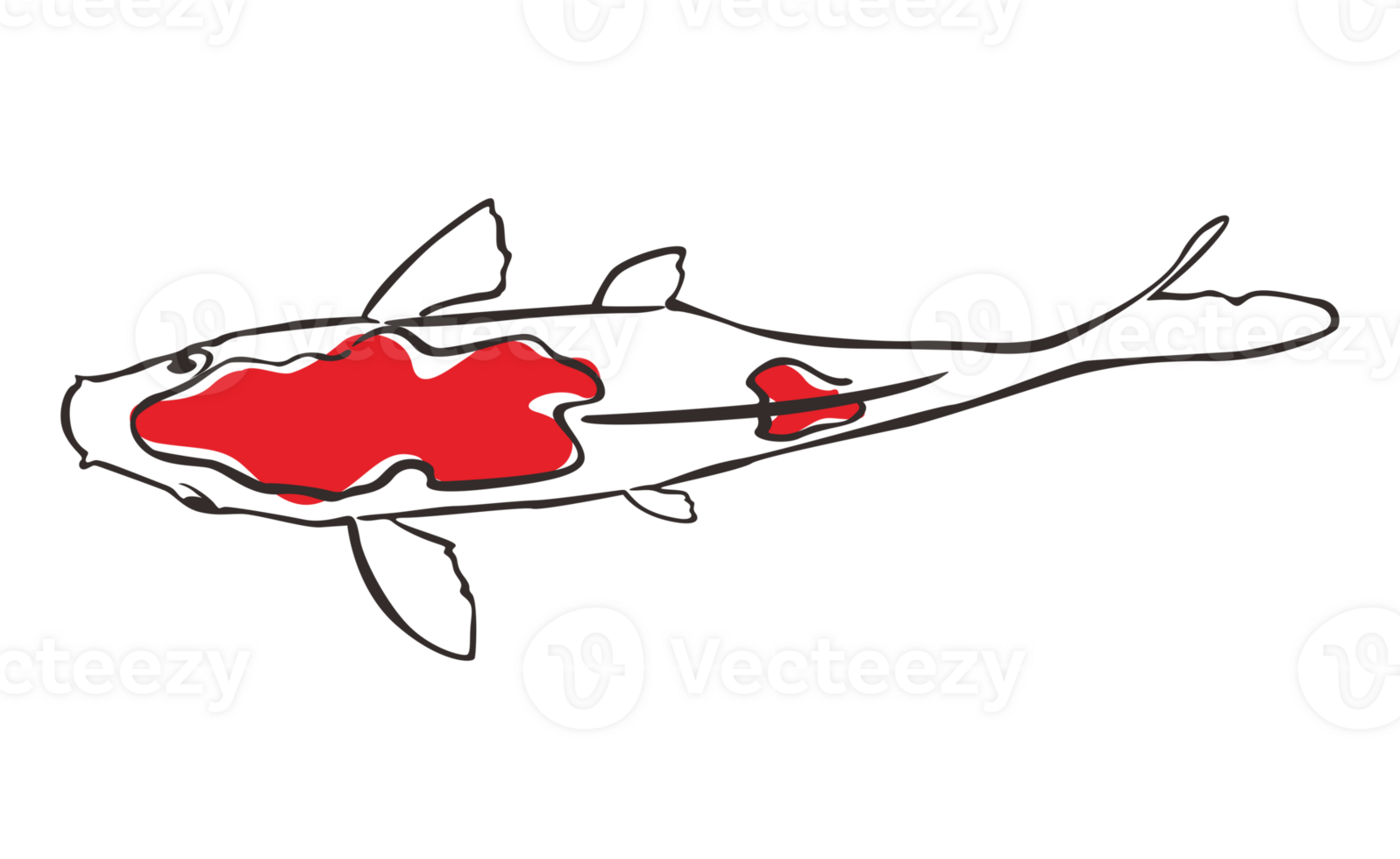 Koi Fish With transparent background png