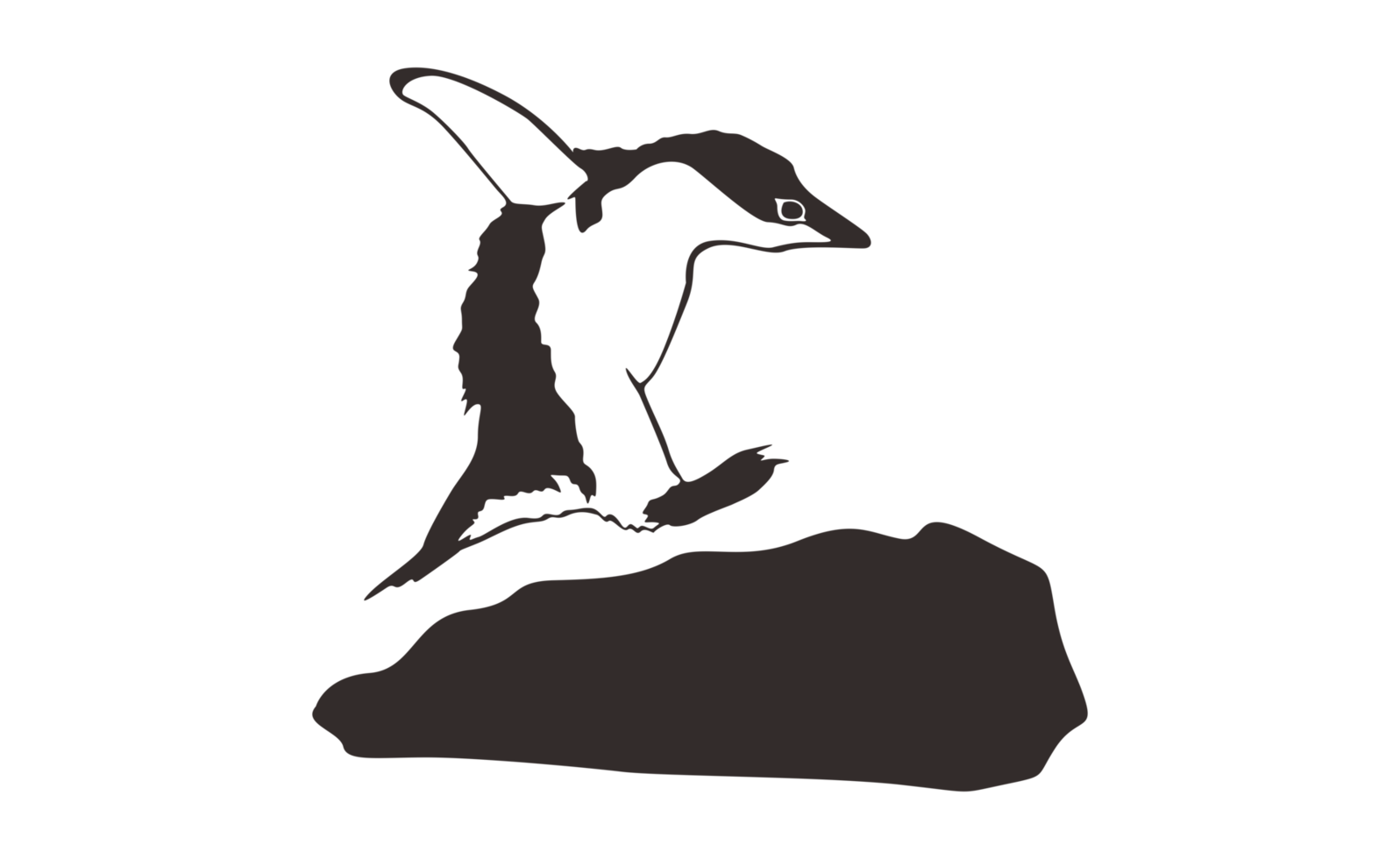 Penguin Line Art on a transparent background png