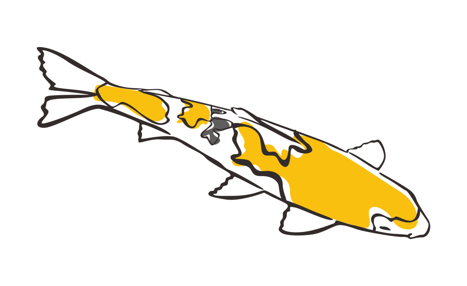 Koi Fish With transparent background png