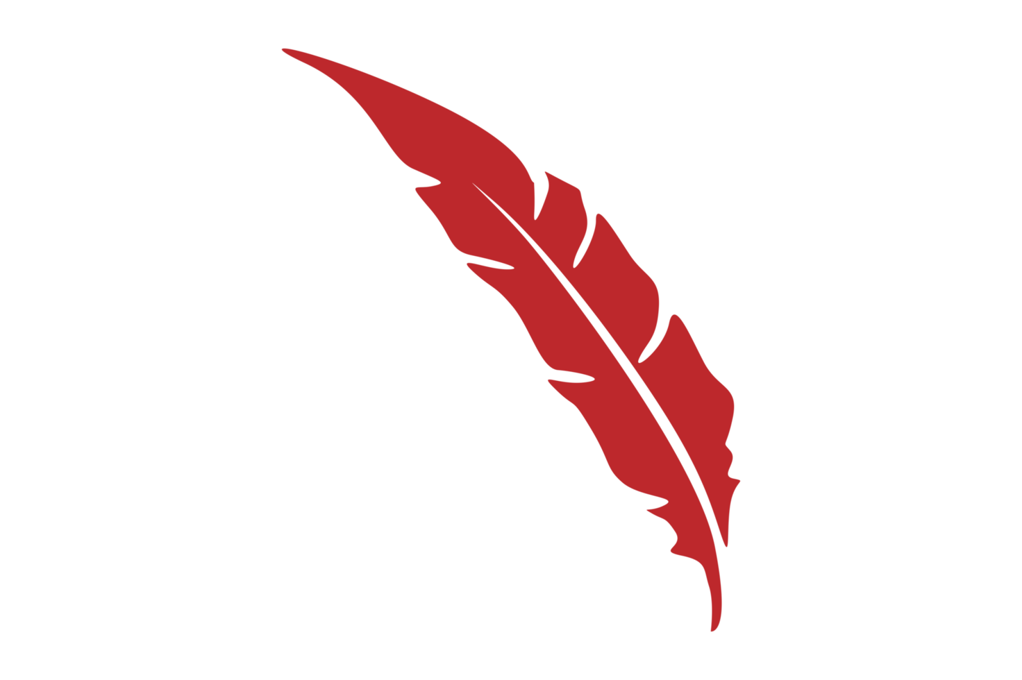 Bird Feathers Ornament With Transparent Background png