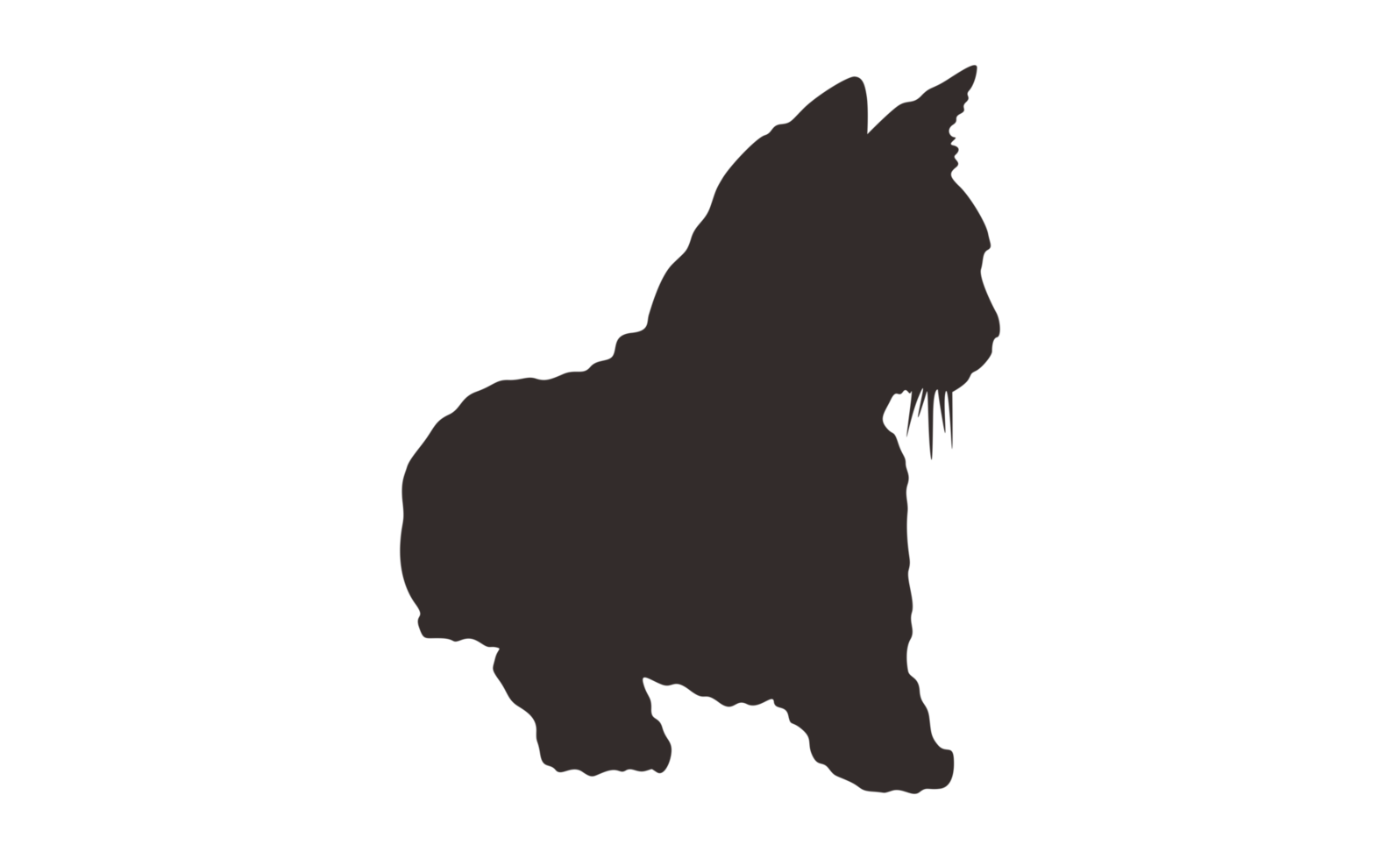 Kitten Silhouette With Transparent Background png