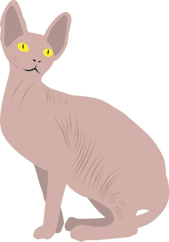 Cute Sphynx Cat, Pet Animal Cartoon Vector Illustration