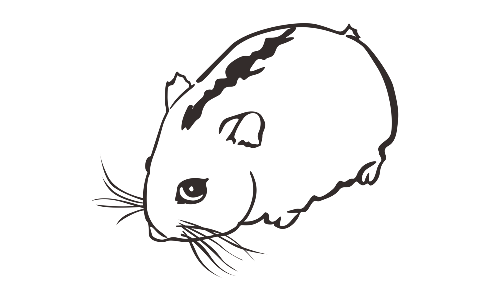 Hamsters Line Art With Transparent Background png