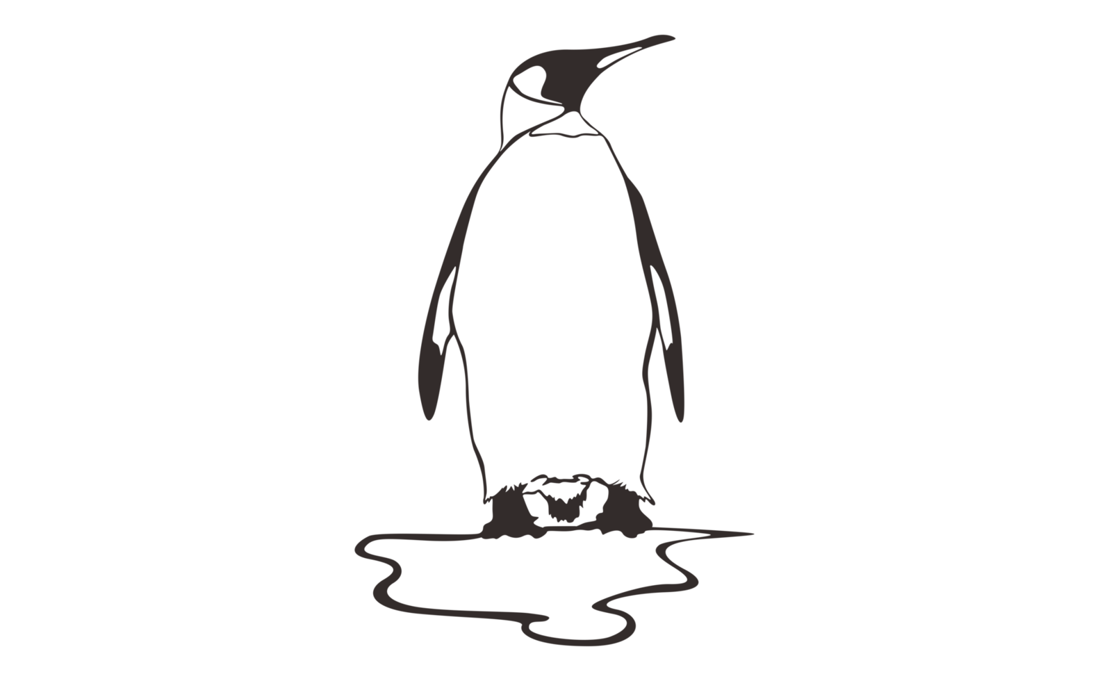 Penguin Line Art on a transparent background png