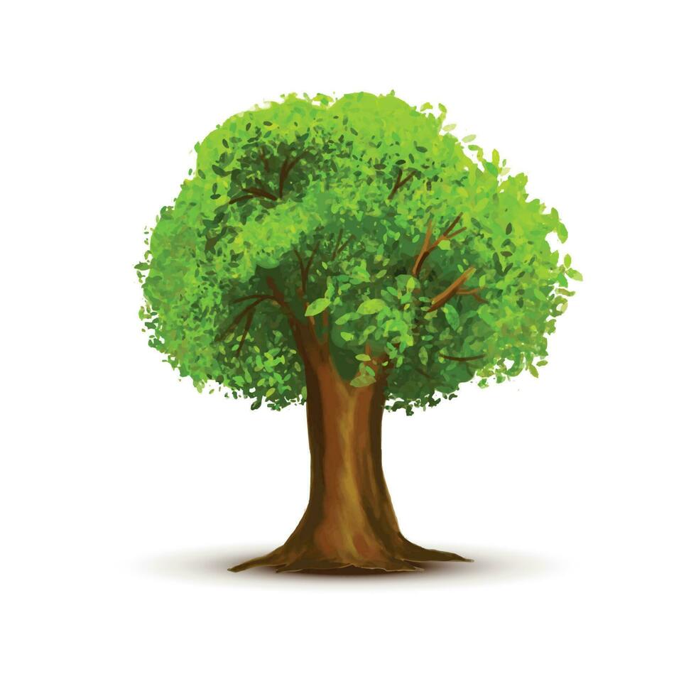 Beautiful green landscape tree on white background vector